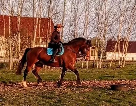 Ranczo Ignacowo * Studzienno